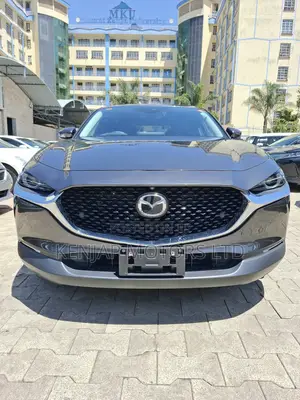 Mazda CX-30 2019 Gray