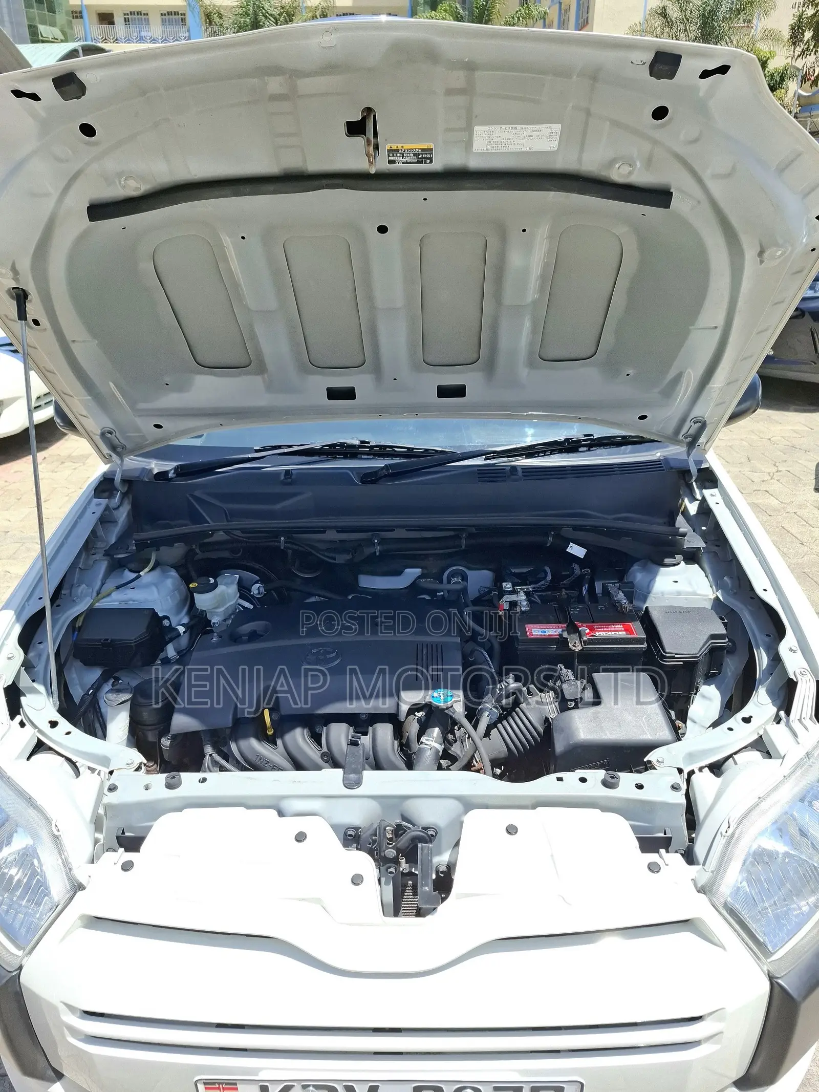 Toyota Succeed 2019 White