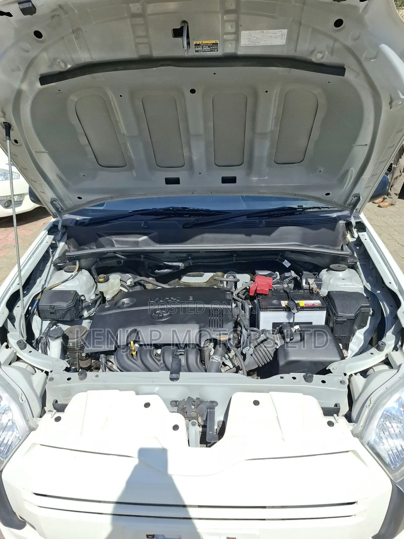 Toyota Succeed 2020 White