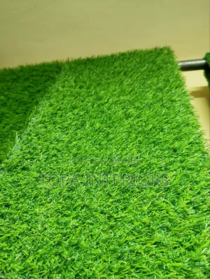 Durable Outdoor Rugs Fake Grass Artificial Grass Carpets