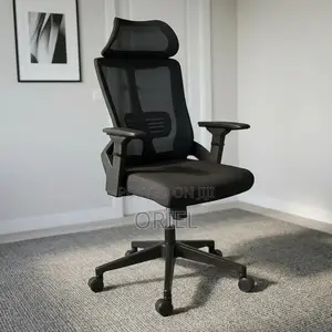 Office Chair : Ergonomic Staff Seat