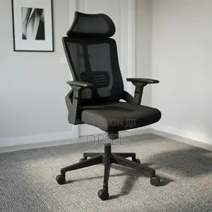 Office Chair : Ergonomic Staff Seat