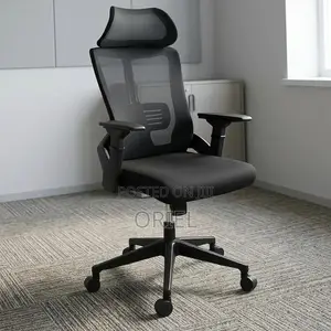 Office Chair : Ergonomic Staff Seat