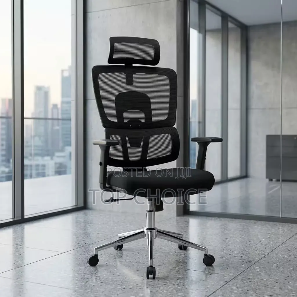 Ergonomic Orthopedic Chair