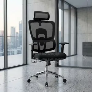 Ergonomic Orthopedic Chair
