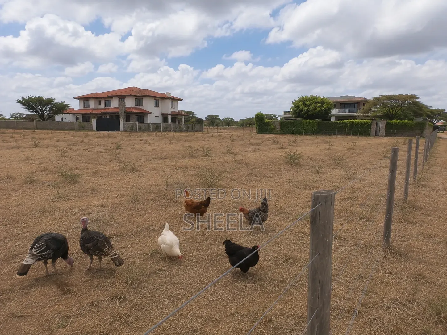 Sholinke Land for Sale