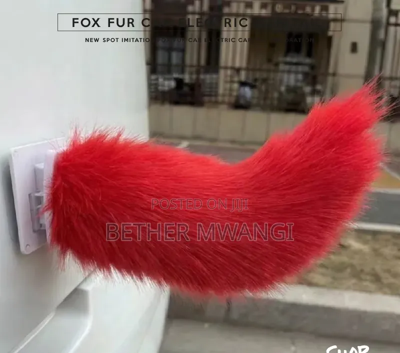 Fox Fur Electric Car Trail in Kenya