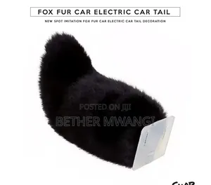 Fox Fur Electric Car Trail in Kenya