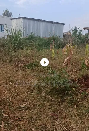 1/8 Acre Upper Thunguma Nyeri Town Constituency