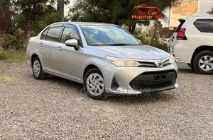 Toyota Axio 2019 Silver