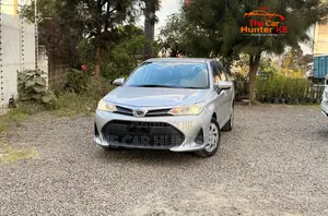 Toyota Axio 2019 Silver