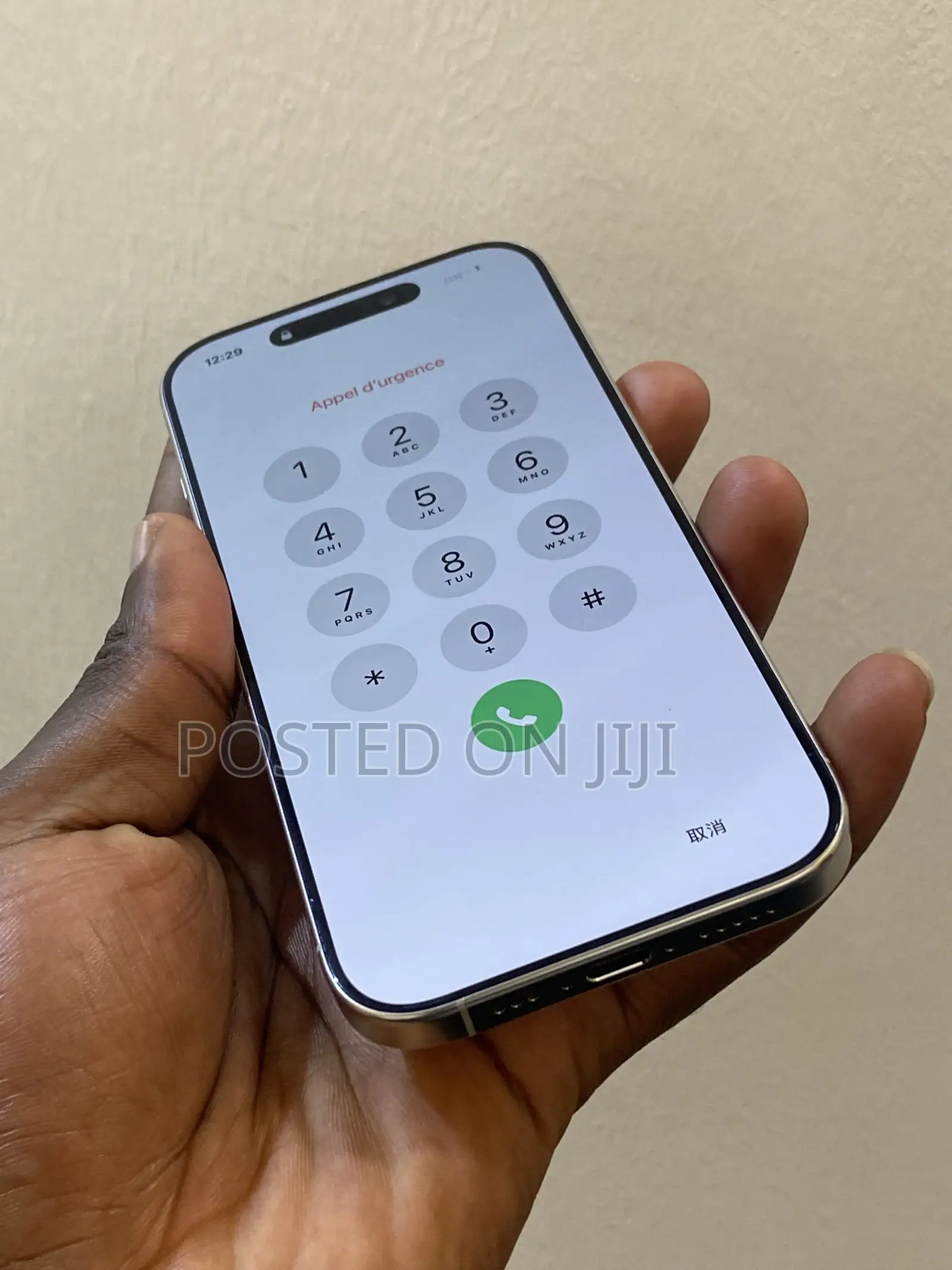 Apple iPhone 16 Pro 256 GB Silver