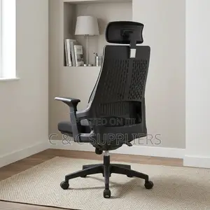 Ergonomic Mesh Lama Study Chair