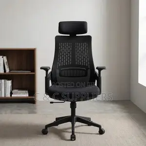 Ergonomic Mesh Lama Study Chair