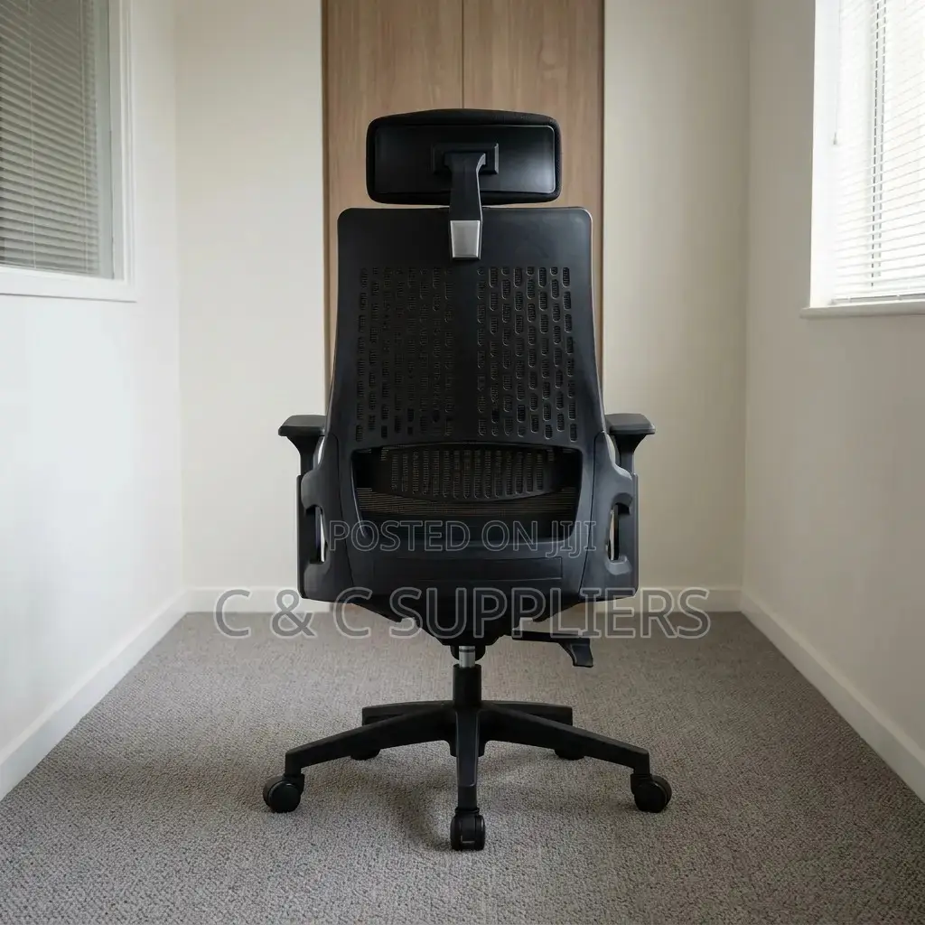 Ergonomic Mesh Lama Study Chair