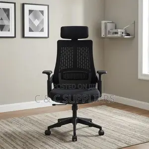 Ergonomic Mesh Lama Study Chair