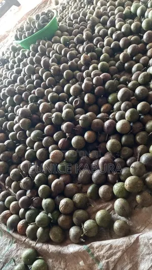 Passion Fruit