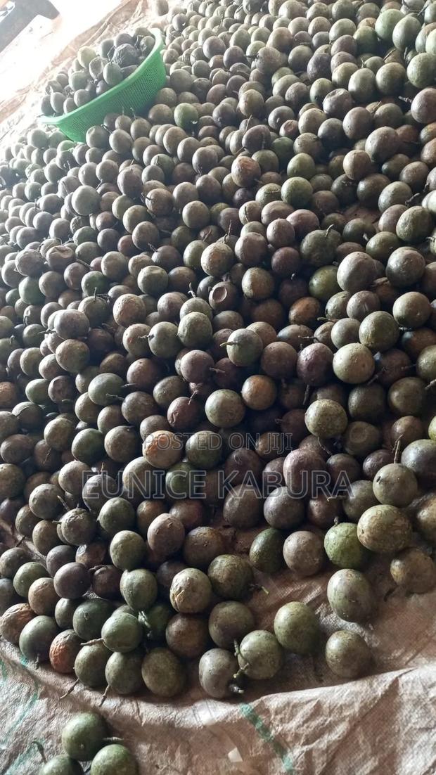 Passion Fruit - thumbnail 2