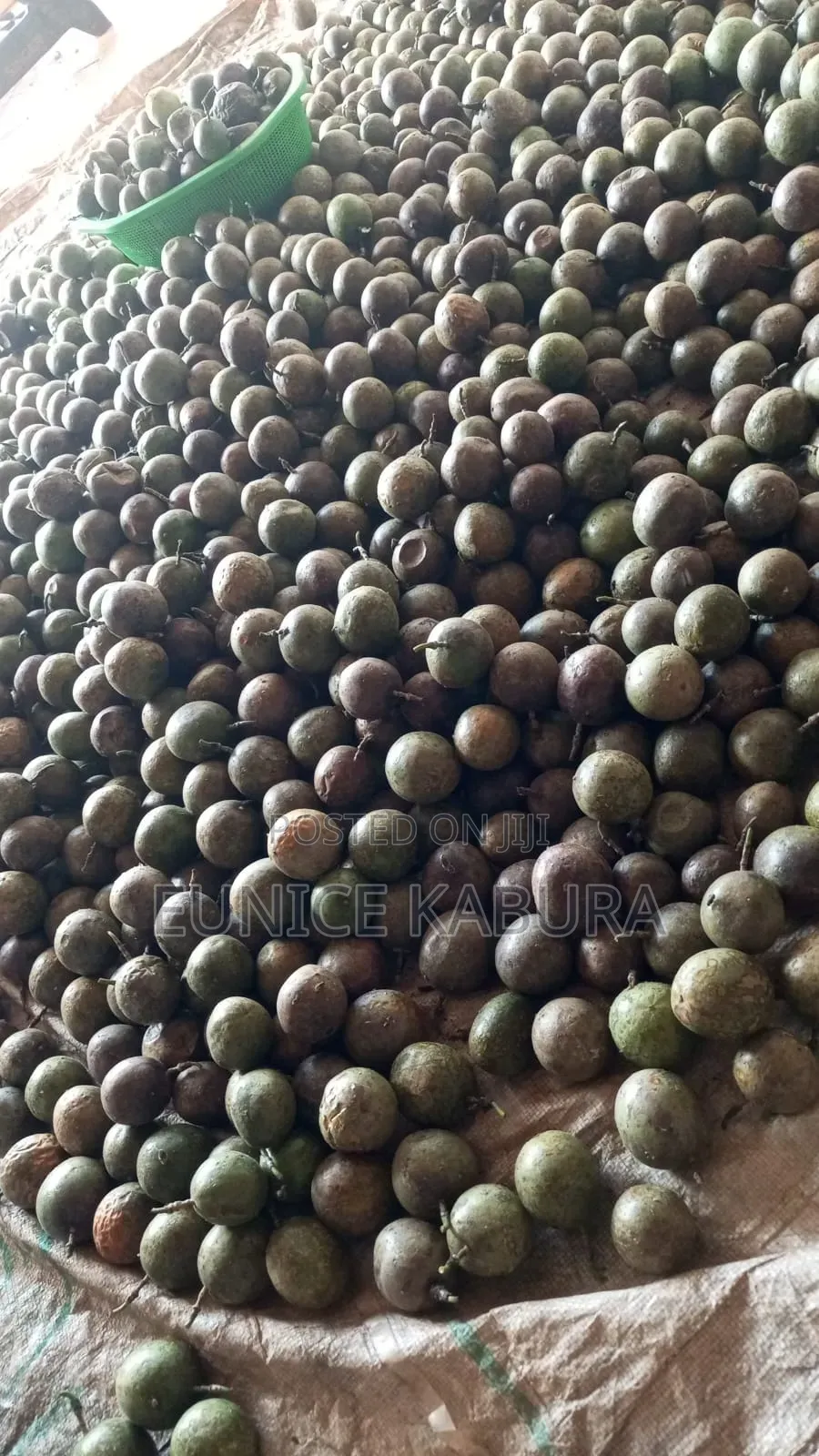 Passion Fruit