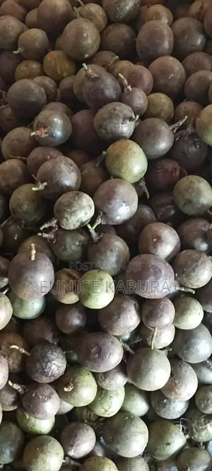 Passion Fruit