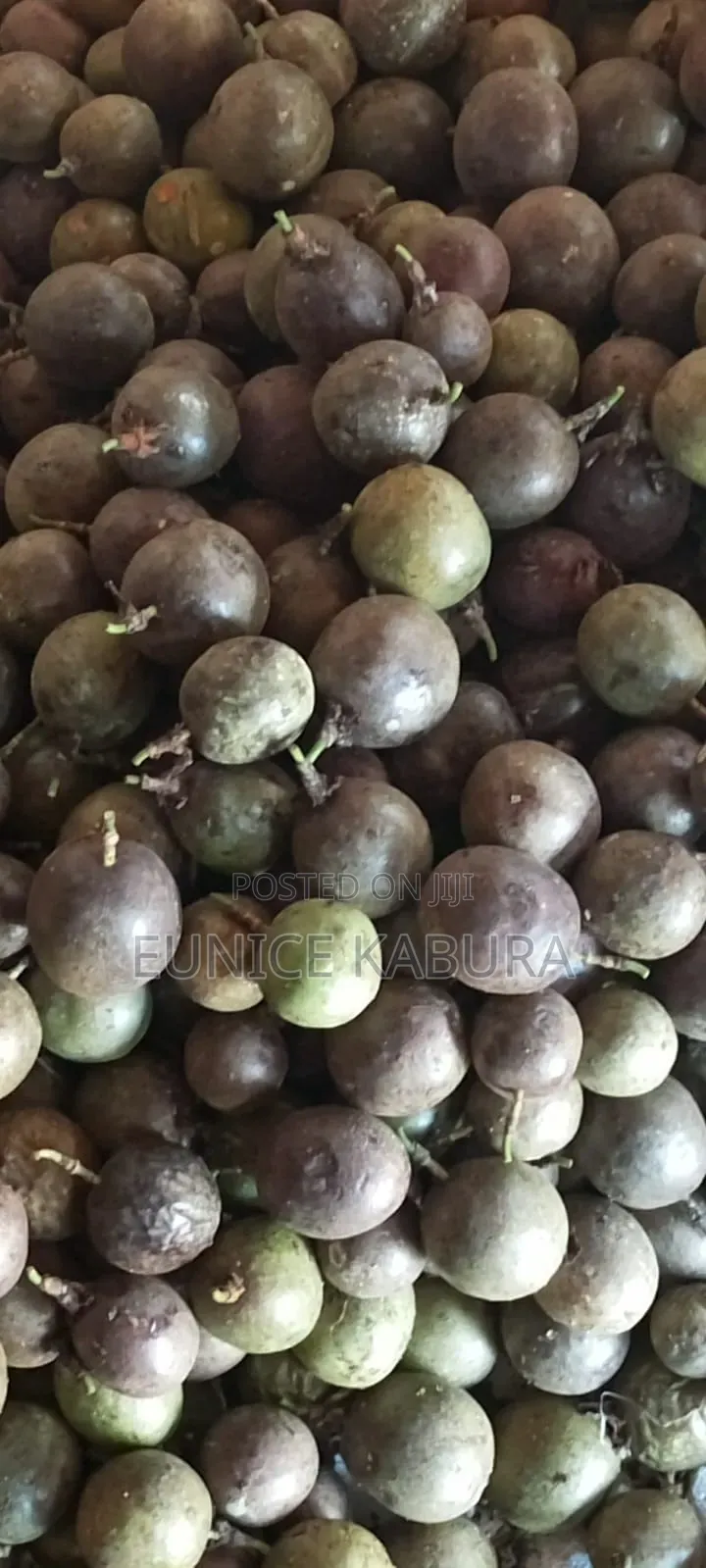 Passion Fruit