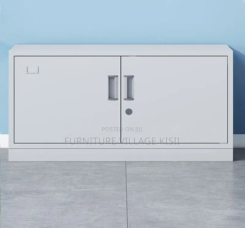 Locker; 2- Door Steel Office Cabinet