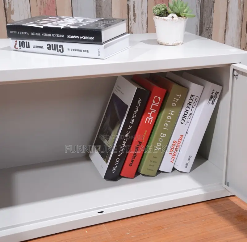 Locker; 2- Door Steel Office Cabinet