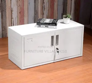 Locker; 2- Door Steel Office Cabinet