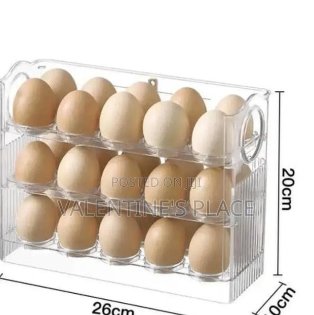 3 Layer Aclyric 30 Egg Storage Fridge Box - main view
