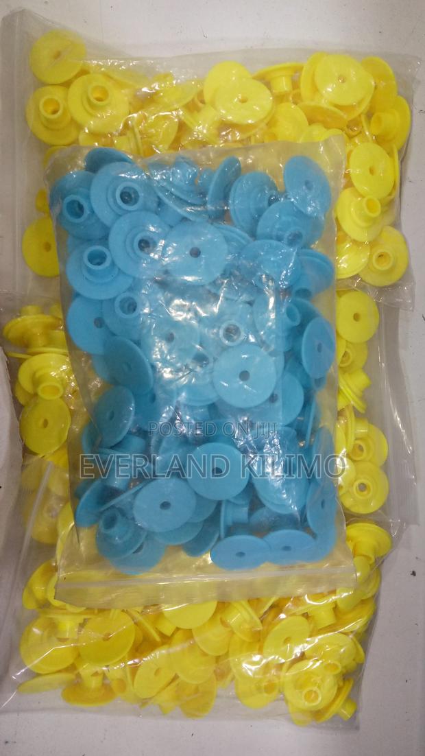 Animal Round Ear Tags - Goats and Pigs