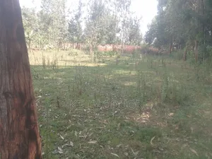 Land Selling
