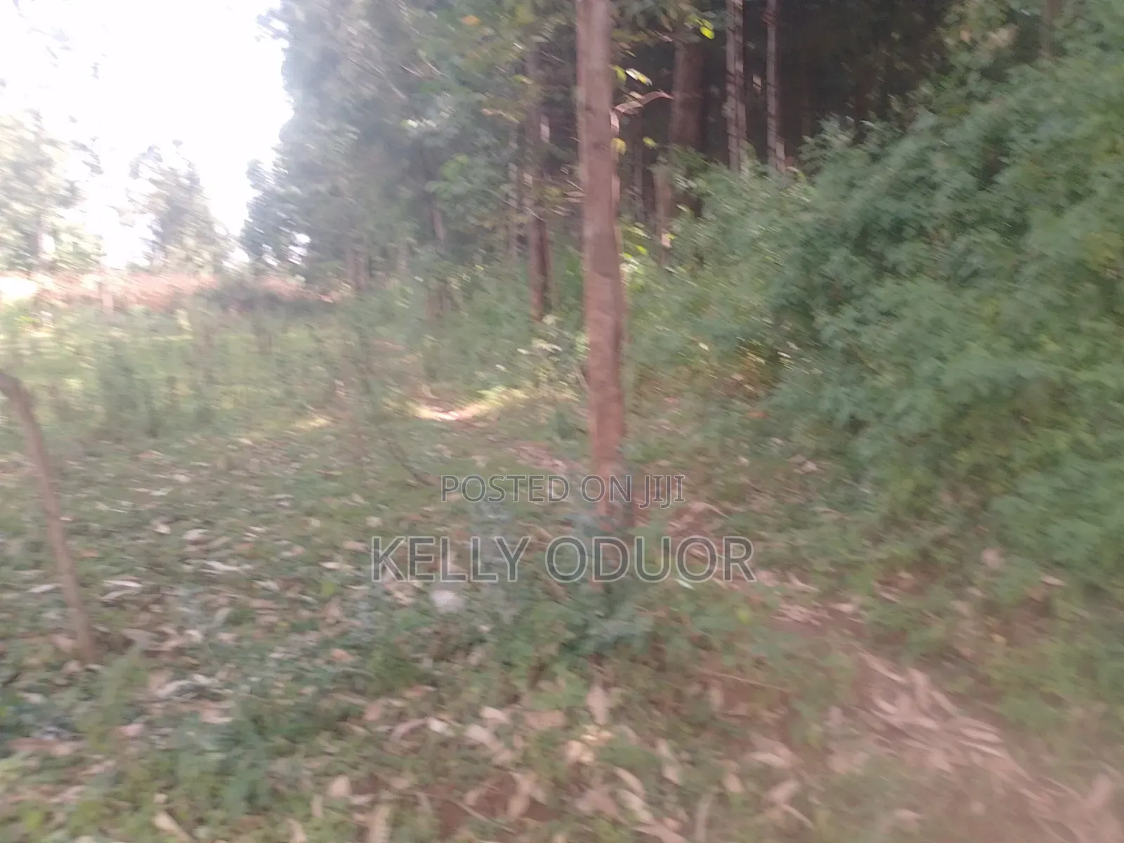 Land Selling