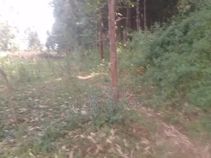 Land Selling