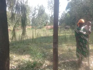 Land Selling