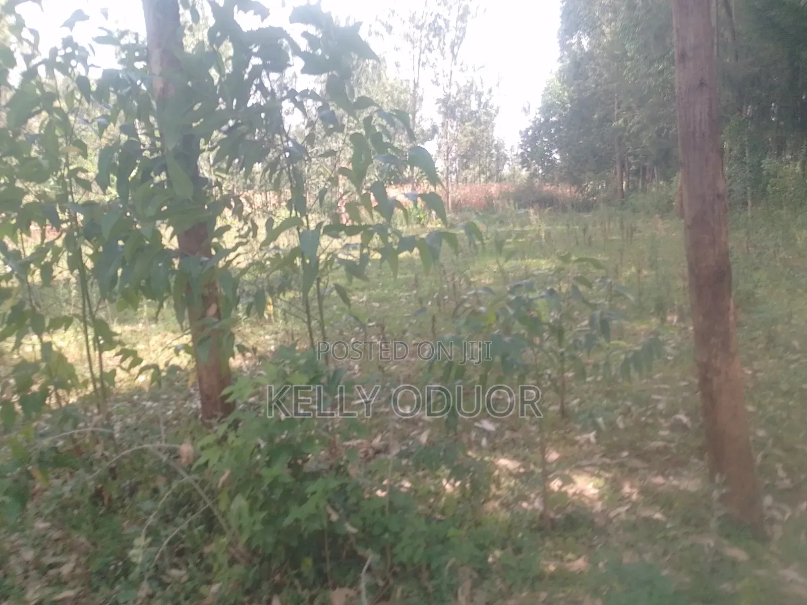 Land Selling