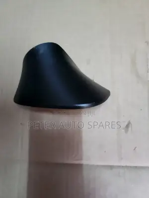 Sidemirror Arm Cover Fielder/Axio 161