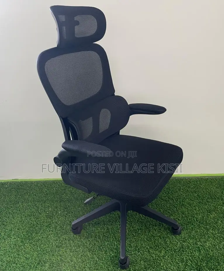 Office Chair: Orthopedic Office Chair