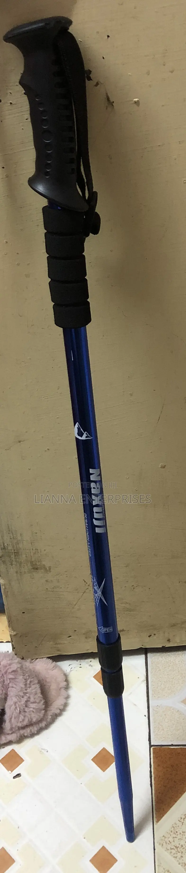 Hiking Pole