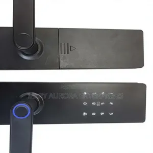 Smart Lock WiFi Smart Biometric Fingerprint Password