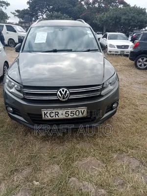 Volkswagen Tiguan 2011 Gray