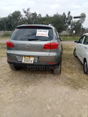 Volkswagen Tiguan 2011 Gray