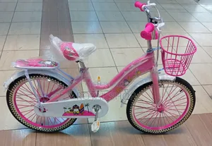 Bike Size 20