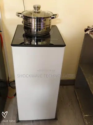 Solar Induction Cooker