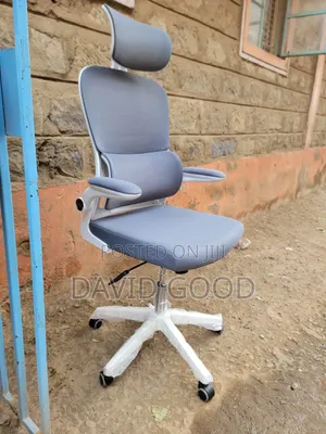 Generic Orthopedic Chair