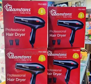 Professional Hair Dryer – Rm/465