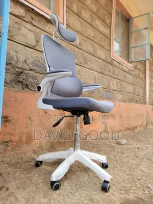 Ergonomics Orthopedic Chair