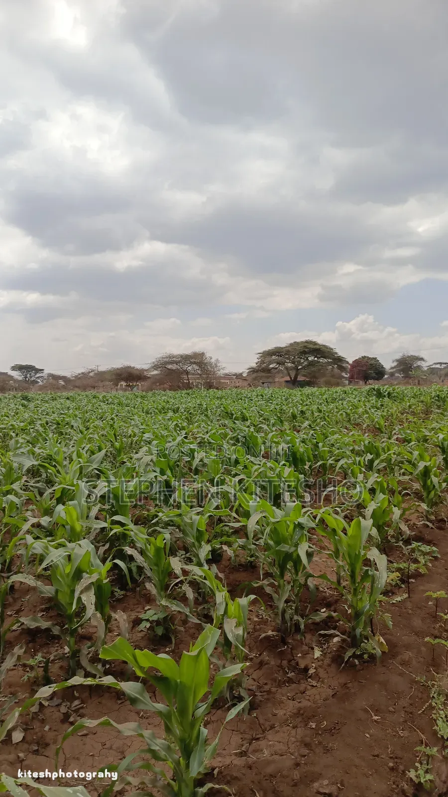 Land for Sale at Loitoktok Kimana Area
