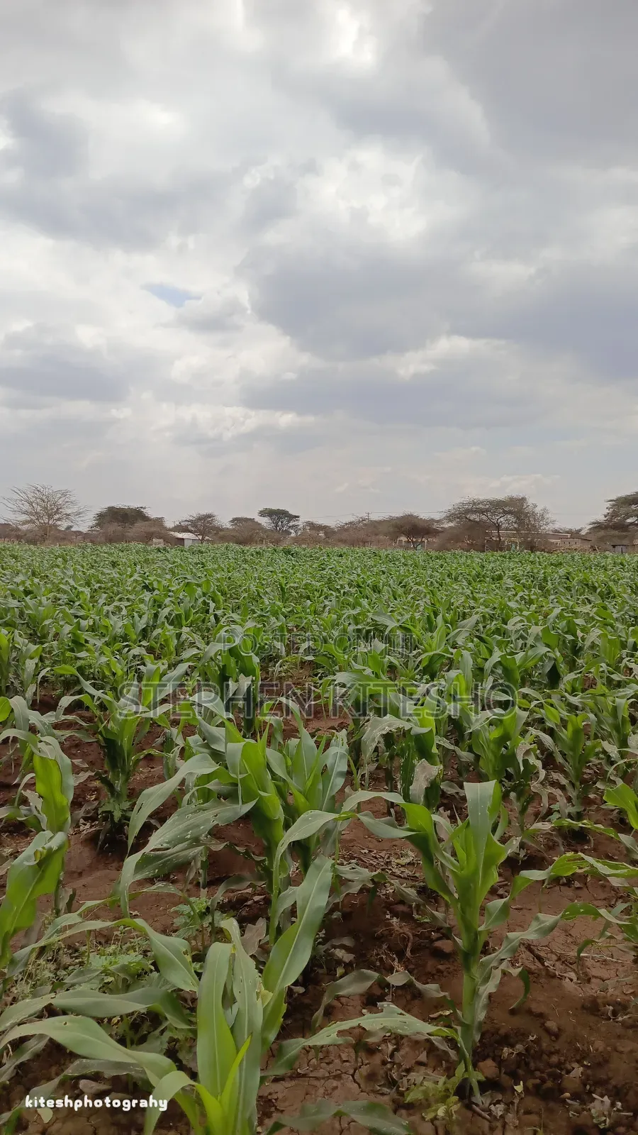 Land for Sale at Loitoktok Kimana Area