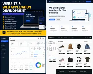 Professional Website Web Application Development