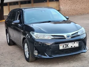 Toyota Corolla Fielder 2015 Black
